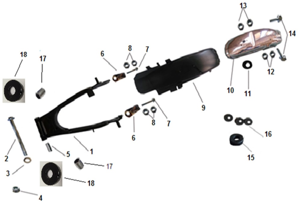 17 Protezione pompa iniezione moto E4 Orcal